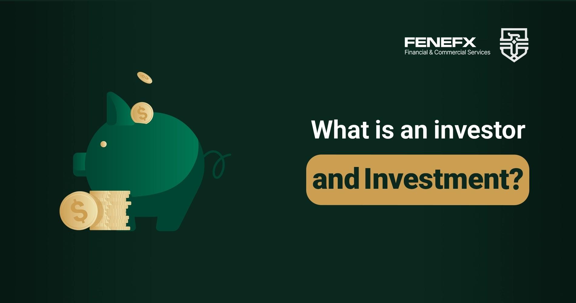 What Are Investors and Investment?