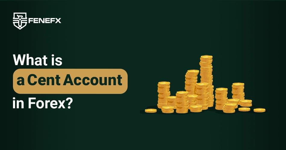 What is a Cent Account in Forex?