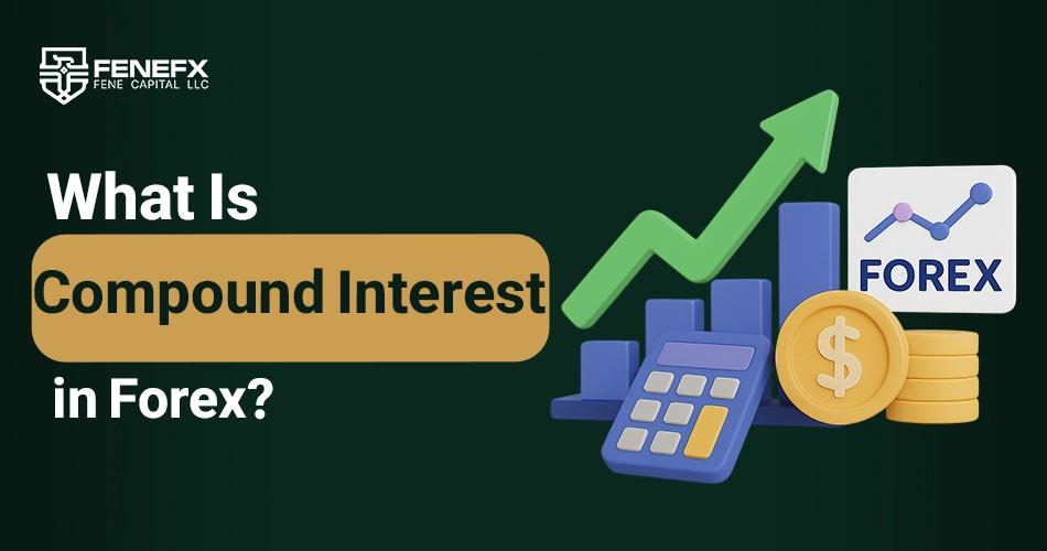 What Is Compound Interest in Forex?