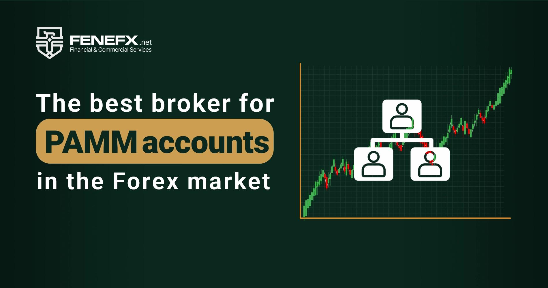 The Best Broker for PAMM Account in the Forex Market (Expert Review)
