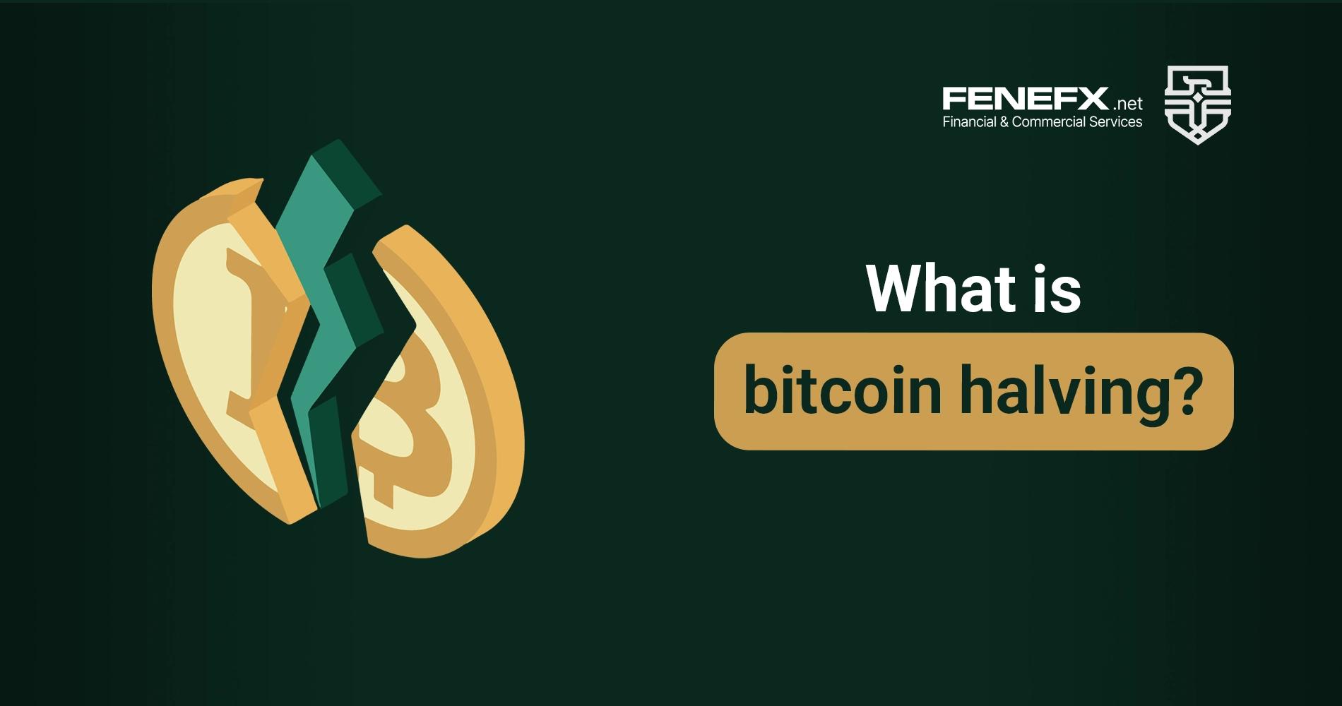 What is bitcoin halving?