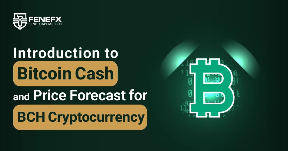 Introducing to Bitcoin Cash ( BCH ) and Predicting the Future Price of the Cryptocurrency