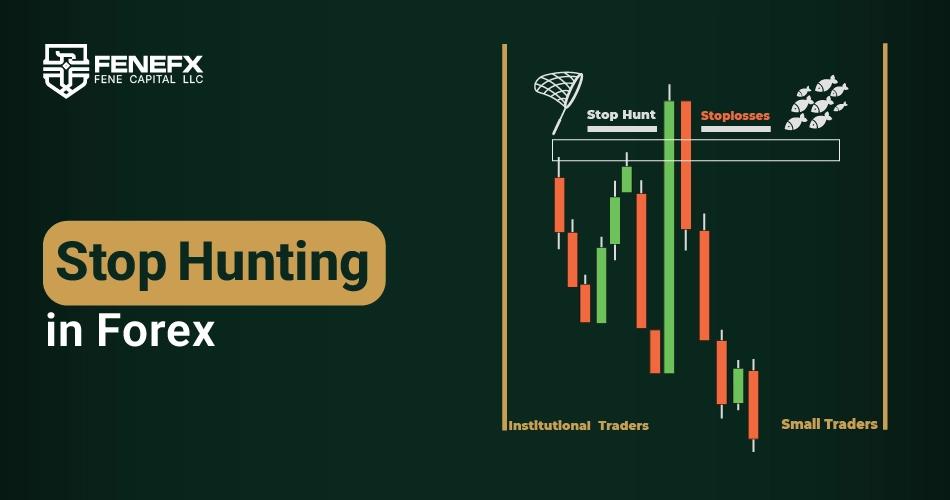 Stop Hunting in Forex