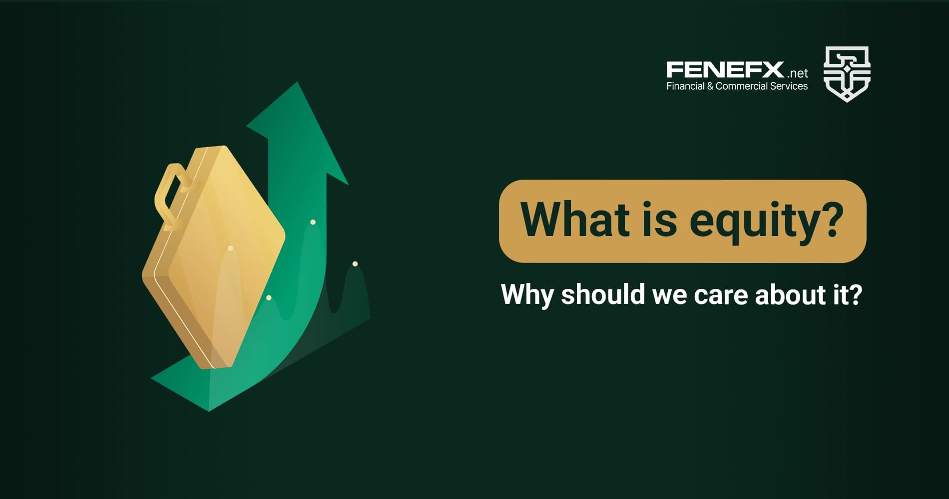 What is equity? Why should we care about it?
