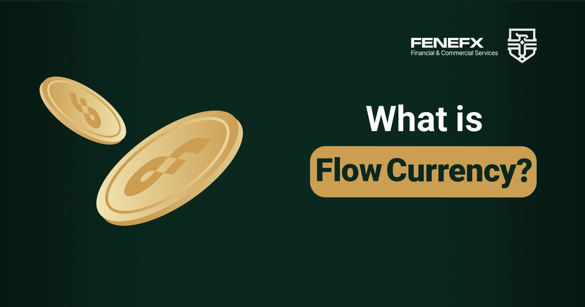 What is Flow Currency?