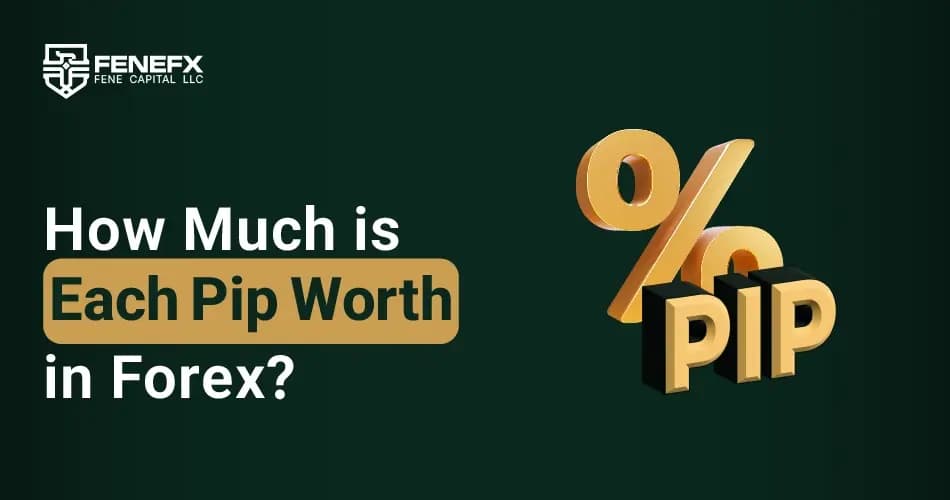 How Much is Each Pip Worth in Forex?