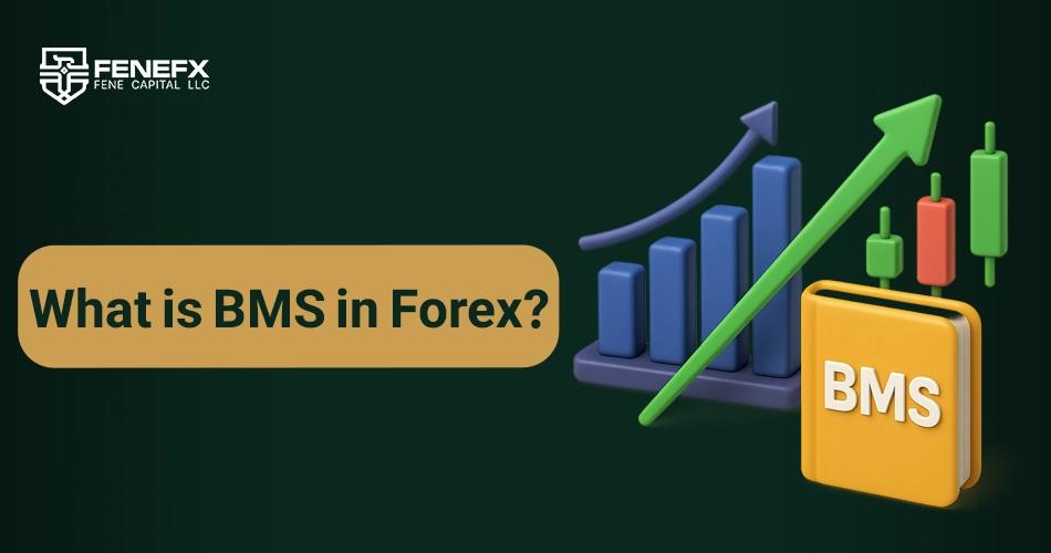 What is BMS in Forex?