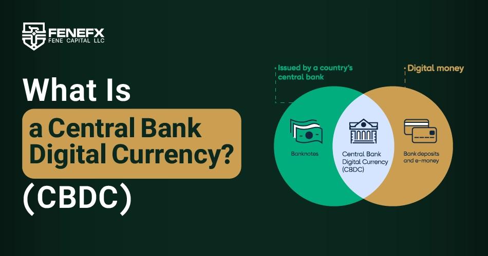 What Is a Central Bank Digital Currency (CBDC)?