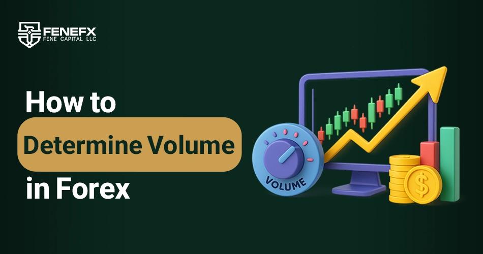 How to Determine Volume in Forex